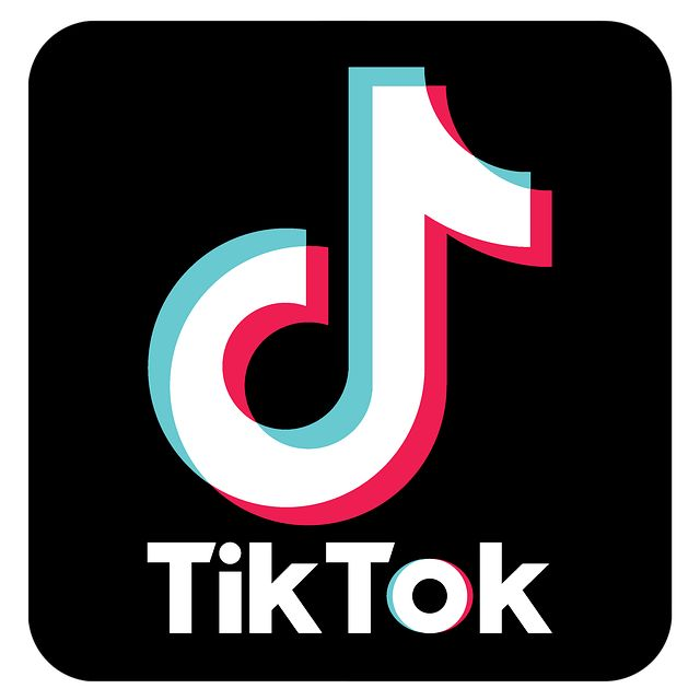 What Will Happen Without Tik Tok?